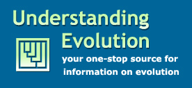 Understanding_Evolution1